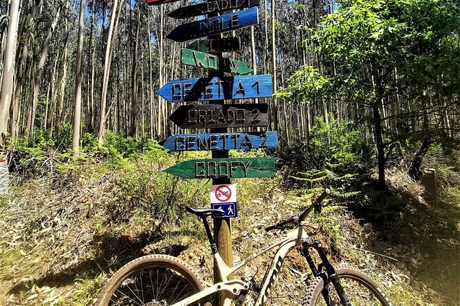 4 Hour Private MTB Enduro Trail Tour in Sintra Mountain - Additional Information