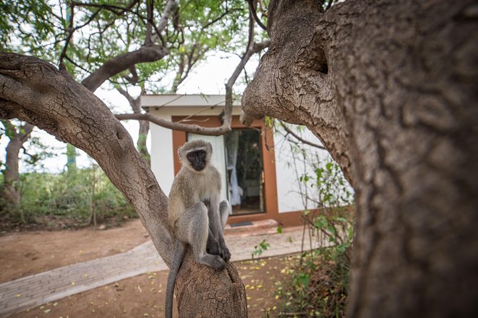 5 Day Classic Kruger National Park Safari - Customer Reviews