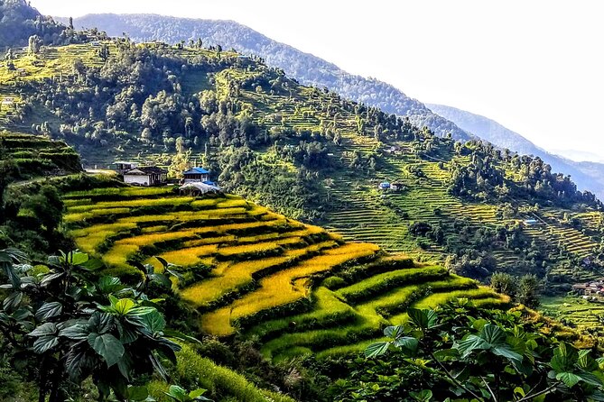 5-Day Private Farming Experience in Nayapul With Accommodation - Itinerary