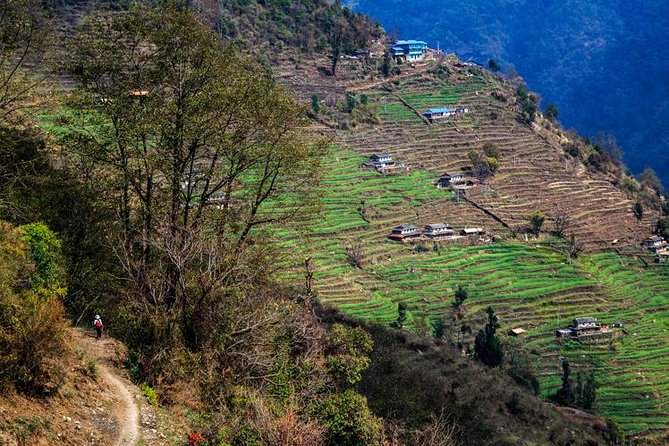 5 Days Ghale Gaun Village Homestay Hike - Day 4: Return to Kathmandu