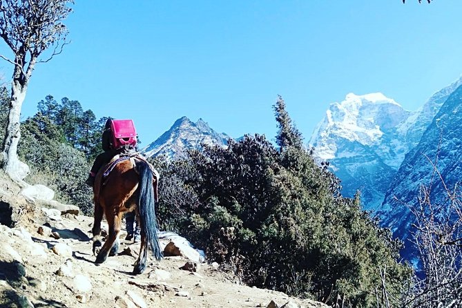 5 Days Short Everest View Trek From Kathmandu - Booking and Pricing Details