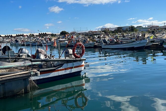 5 Hours Tour in Ria Formosa - Tour Inclusions