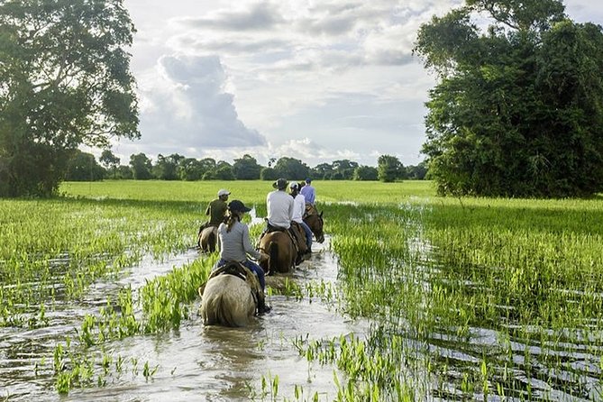 5 Nights Private Pantanal and Bonito Wild Nature Adventure - Common questions