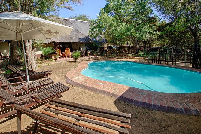 6 Day Budget Kruger National Park Safari - Transportation and Transfers