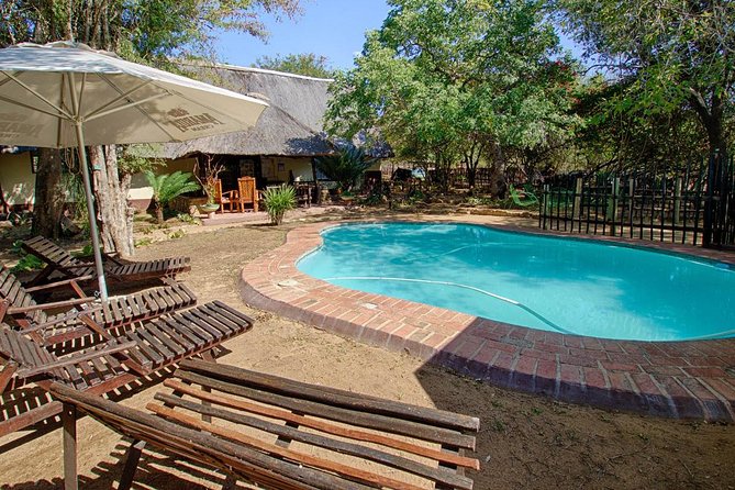 6 Day Lodge and Treehouse Kruger National Park Safari - Pricing and Booking Information