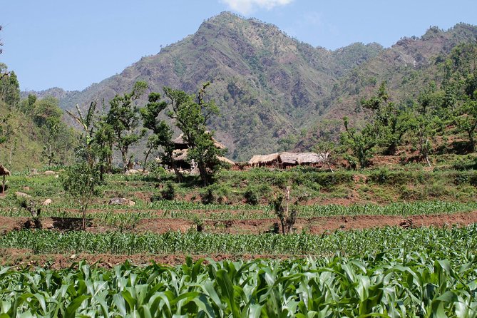 6 Days Chepang Village Homestay Hill Hike - Logistics and Transportation Details