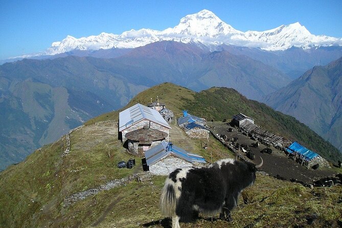 6 Days Morare Danda Hill Community Trek - Best Time to Visit