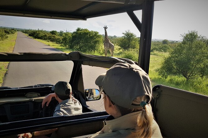 6 Days Safari and Culinary Private Tour in South Africa - Itinerary Overview