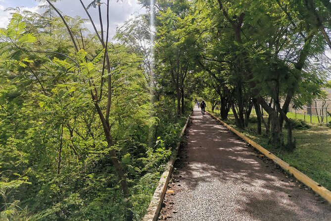 6-Hour Bike Tour From Oaxaca to the Tule Tree - Last Words