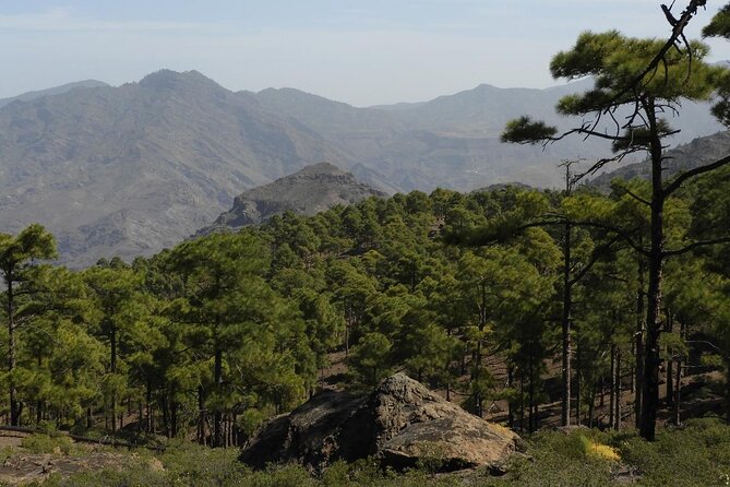 6-Hour Hiking Route Through the Inagua Nature Reserve - Last Words