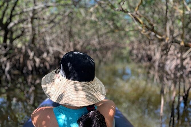 6-Hr Tropical Mangroves, Coastal River and Ocean Wildlife Watch - Accessibility Information