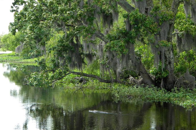 90-Minute Jean Lafitte Swamp and Bayou Tour With Transportation - Refund Policy