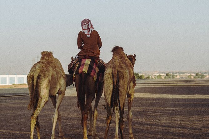 90 Minutes Guided Cultural Camel Riding in Dubai - Pricing and Additional Information