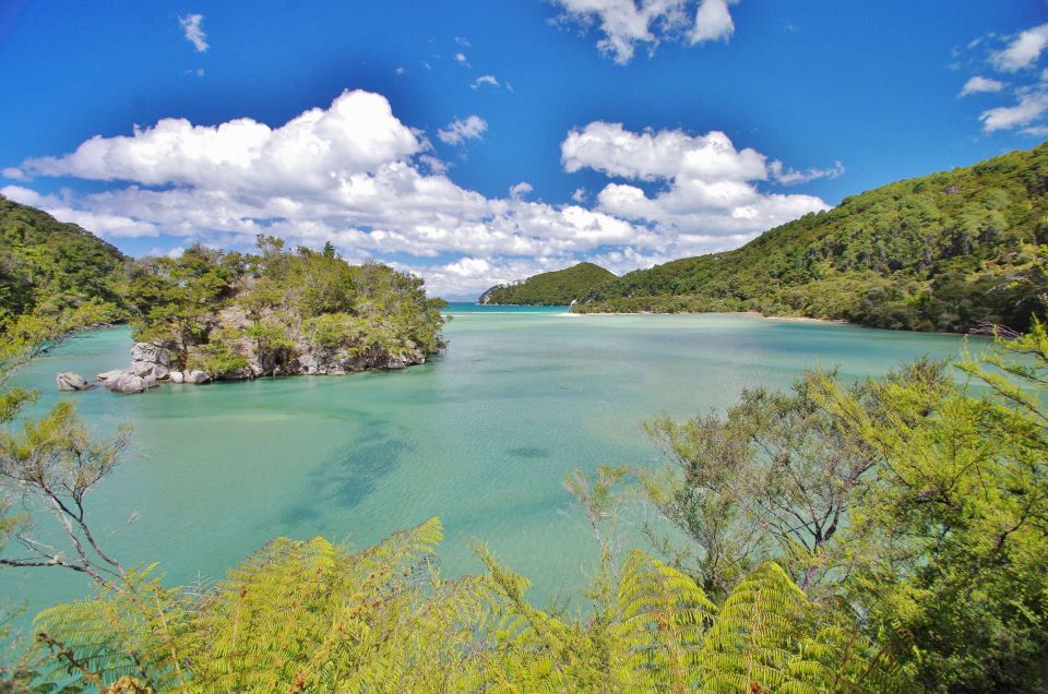 Abel Tasman National Park Cruise and Walking Tour Combo - Criticisms and Suggestions