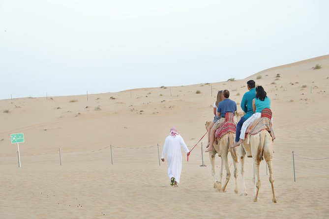 Abu Dhabi City Tour and Desert Safari - Common questions