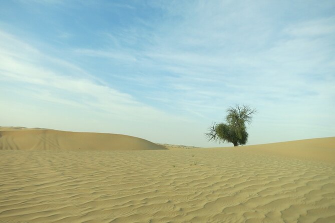 Abu Dhabi Desert Safari With BBQ, Camel Ride, and Arabian Show - Booking Information