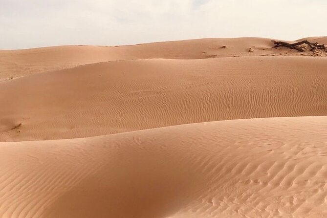 Abu Dhabi Morning Desert Safari,Dune Bashing,Sandboarding,Camel Riding&Quad Bike - Adrenaline-pumping Quad Bike Ride