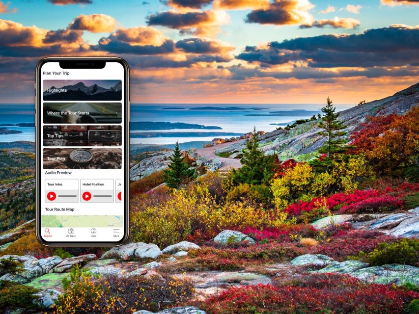 Acadia: Self-Guided Audio Driving Tour - Reservation Options