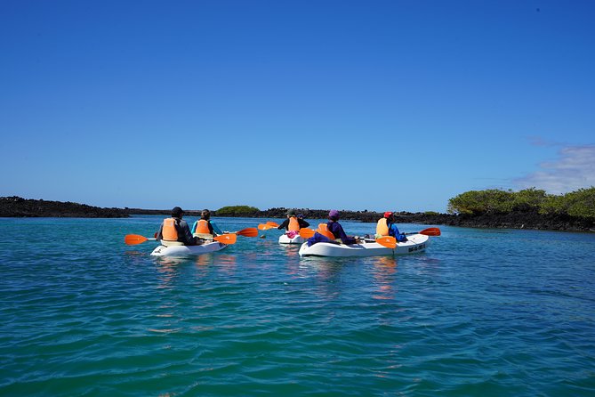 Active Galapagos Island Tour 10 Days - Expert Guides