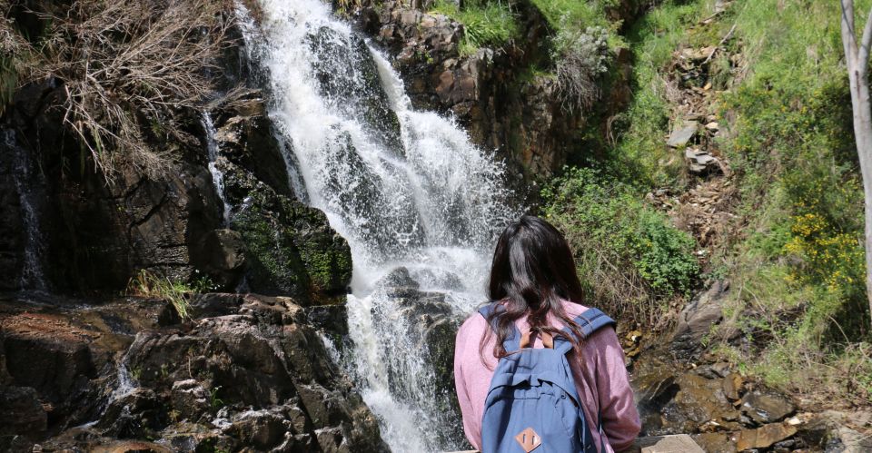 Adelaide: Morialta Wilderness and Wildlife Hike - Important Information