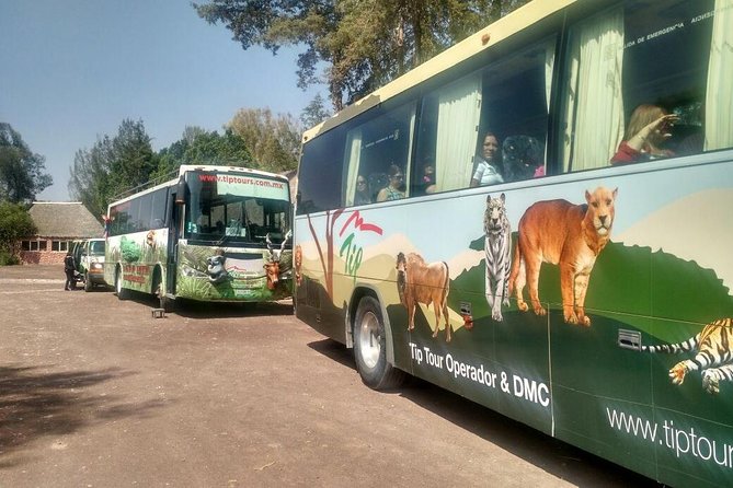 Africam Safari Zoo Admission With Transportation - Additional Safari Adventure Details