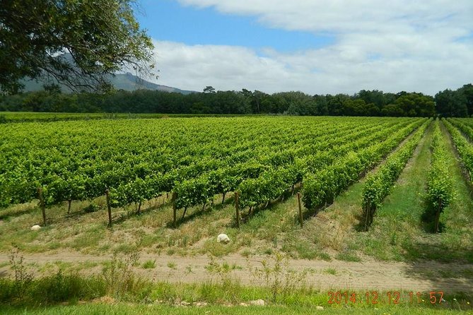 African Story Wine Tours in the Cape Winelands - Group Dynamics and Benefits