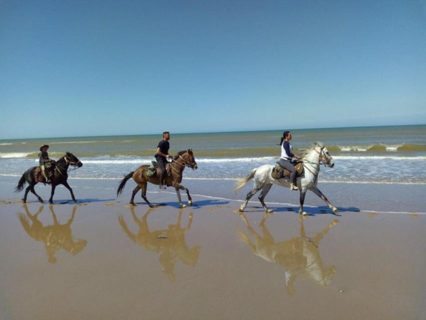 Agadir and Taghazout: 2-Hour Sunset Beach Horseback Ride - Activity Highlights