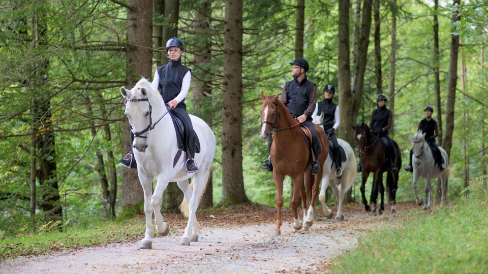 Agadir: Forest and Sand Dunes Guided Horse Riding Tour - Review Summary