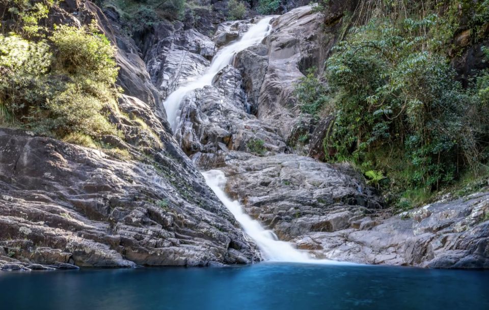 Airlie Beach: Platypus, Eungella and Waterfalls Day Tour - What to Expect