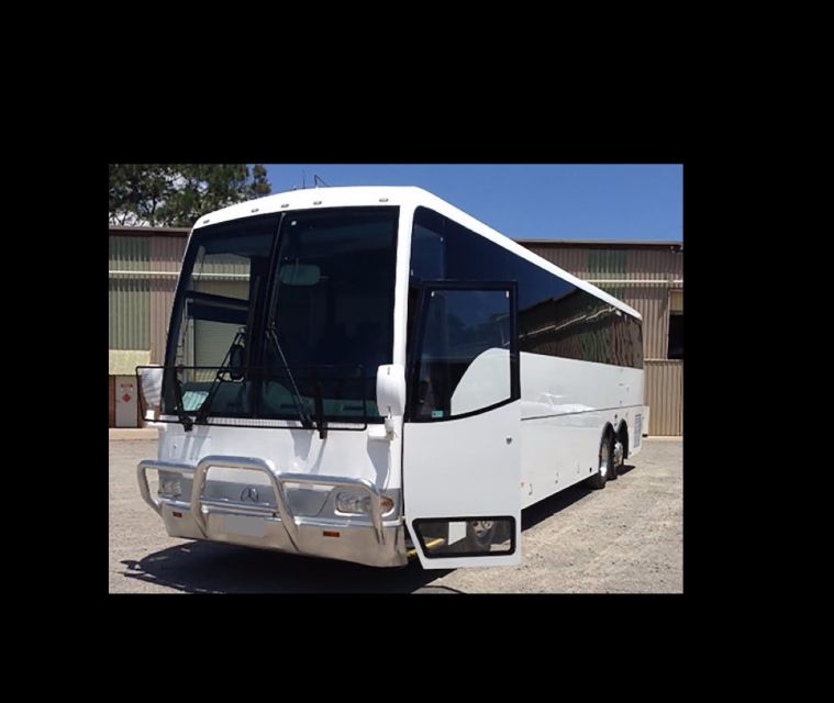 Airport Transfers and Shuttle Bus - Home/Hotels - Background