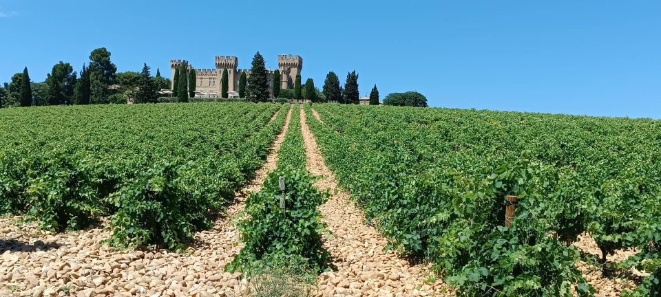 Aix-en-Provence: Avignon Tour & Chateauneuf-du-Pape Tasting - Tour Inclusions