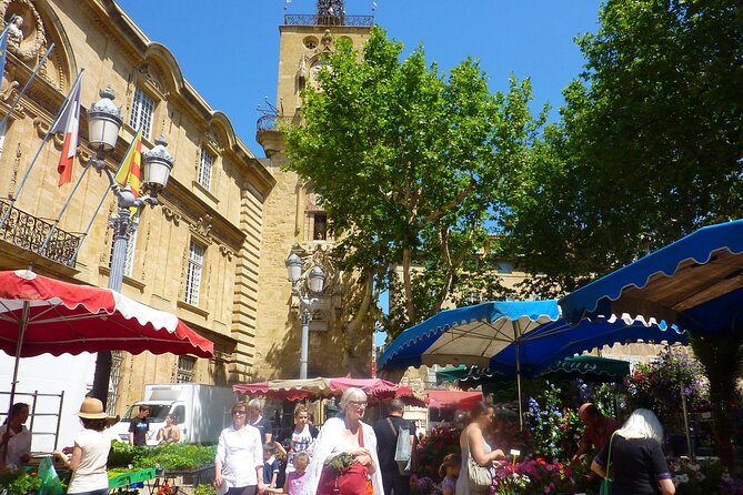 Aix-en-Provence Private Walking Tour With A Professional Guide - Accessibility Details