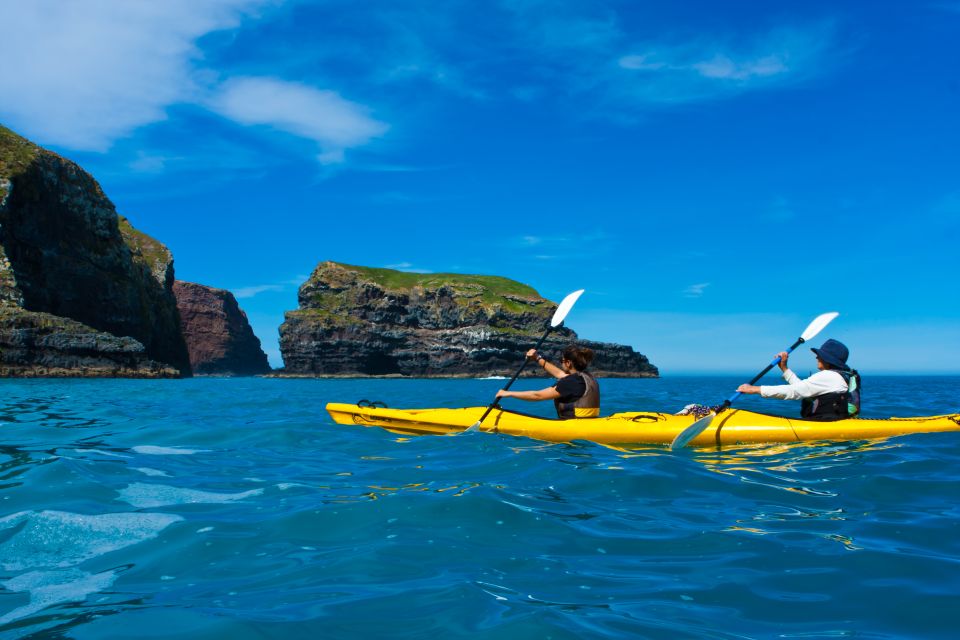 Akaroa: 4WD Safari and Guided Sea-Kayaking Experience - Customer Reviews