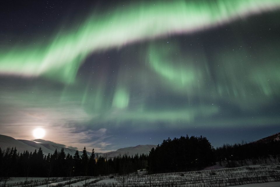 Akureyri: Northern Lights 4WD Day Trip With Hot Chocolate - Additional Information