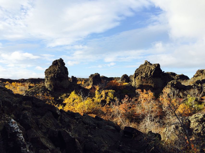 Akureyri Port: Lake Mývatn & Goðafoss Waterfall Day Trip - Booking Information