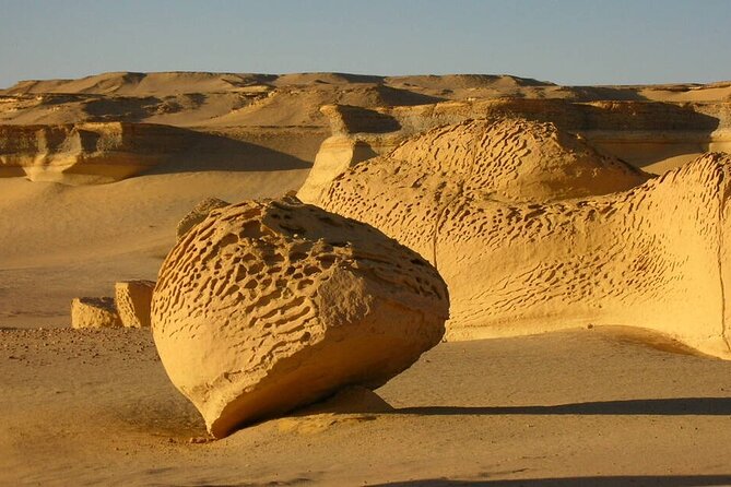 Al-Fayoum Private Trip With Lunch, Boat, and Sandboarding  - Cairo - Traveler Reviews