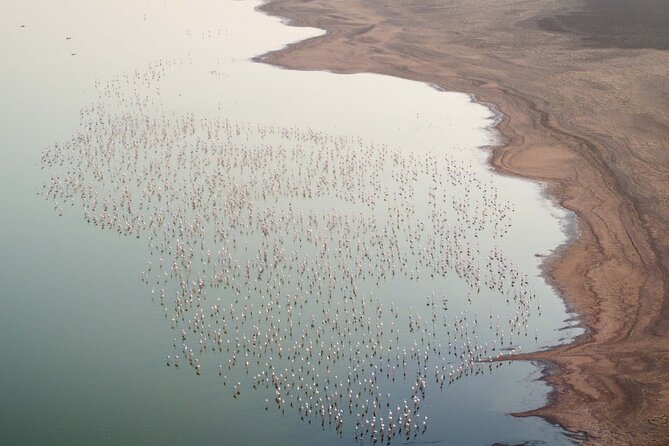 Al Wathba Fossil Dunes, Salt Lake & Wetland Experience Abu Dhabi - Practical Information and Tips