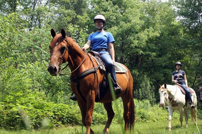 Alanya Horse Riding Experience With Free Hotel Transfer - Weather Considerations