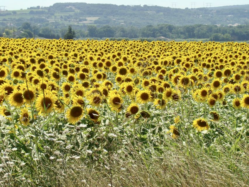 Albi, Cordés-Sur-Ciel & Gaillac: Day Trip From Toulouse - Key Highlights to Explore