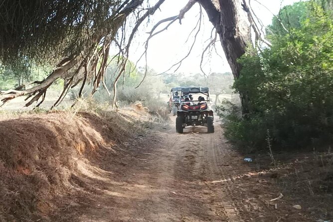 Albufeira 1 Hour Off-Road Tour Buggy Adventure Tour - Reviews and Ratings