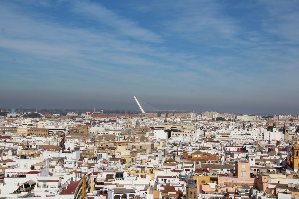 Alcázar Guided Tour & Roof Tour - Included Tour Features