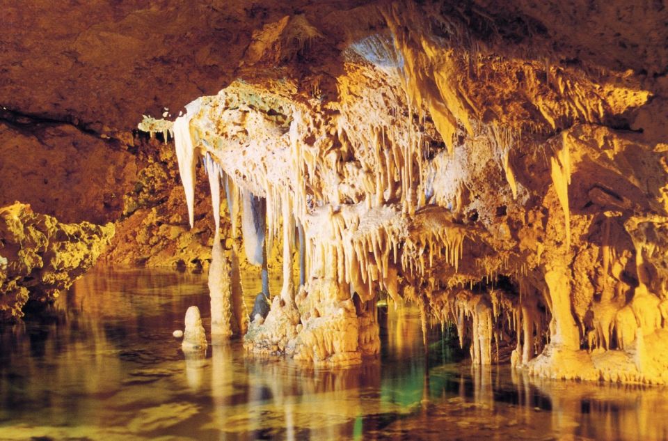 Alcudia: Half-Day Caves of Hams, Blue Caves and Documentary - Booking Information