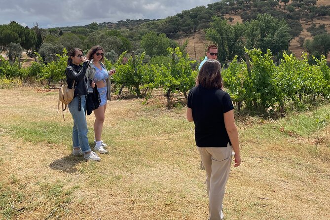 Alentejo Wine Tour From Évora - Transportation and Logistics