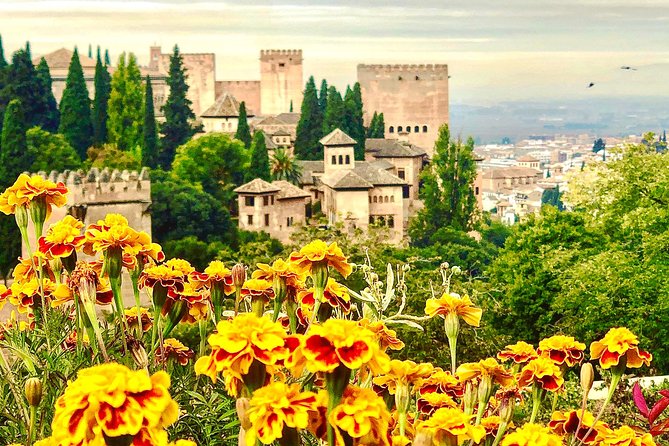 Alhambra Private Tour From Sierra Nevada: Transport and Skip-The-Line-Tickets - Important Additional Information