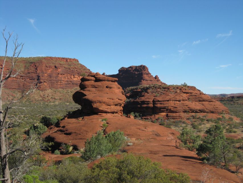 Alice Springs: 4WD Palm Valley Tour With Lunch - Common questions