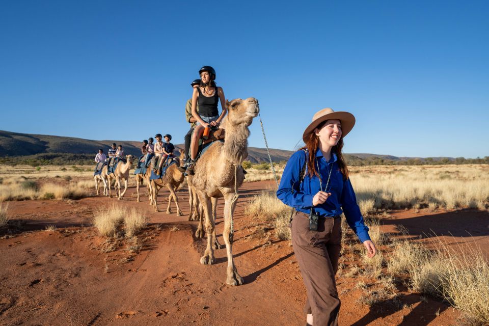 Alice Springs: Guided Outback Camel Ride - Important Information