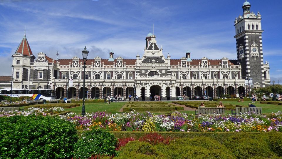 All in Dunedin - Nature & City Tour - Comfortable Transportation