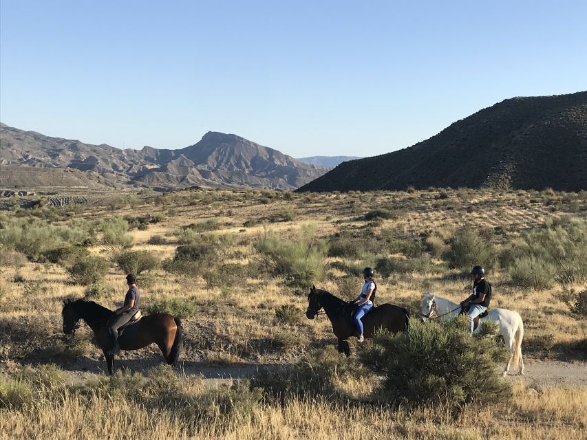 Almeria: Horse Riding Tour Through the Tabernas Desert - Review Summary