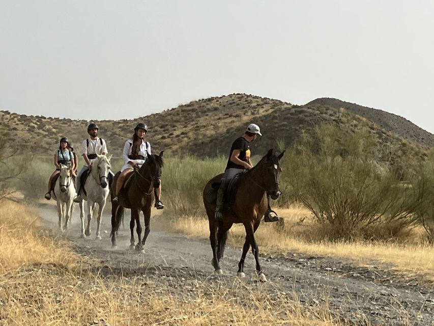 Almeria: Tabernas Desert Horse Riding for Experienced Riders - Customer Feedback