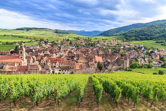 Alsace Wine Odyssey: Full-Day Private Tour From Strasbourg - Safety Guidelines